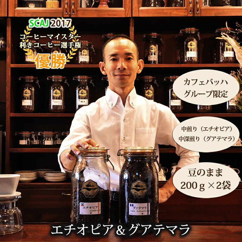 【ふるさと納税】【カフェバッハグループ限定】豆・エチオピア＆グアテマラ｜中煎り・中深煎り｜赤富士珈琲｜利き珈琲チャンピオン厳選　送料無料 静岡県 富士宮市