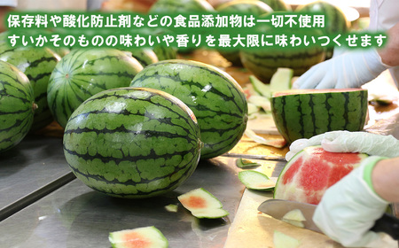 すいかジュース 100g×15 パック＜離島・沖縄配送不可＞ 【 茨城県すいか ジュース つくば市すいか ジュース 西瓜 飲料すいか ジュース ドリンクすいか ジュース フルーツ ジュース すいか ジ