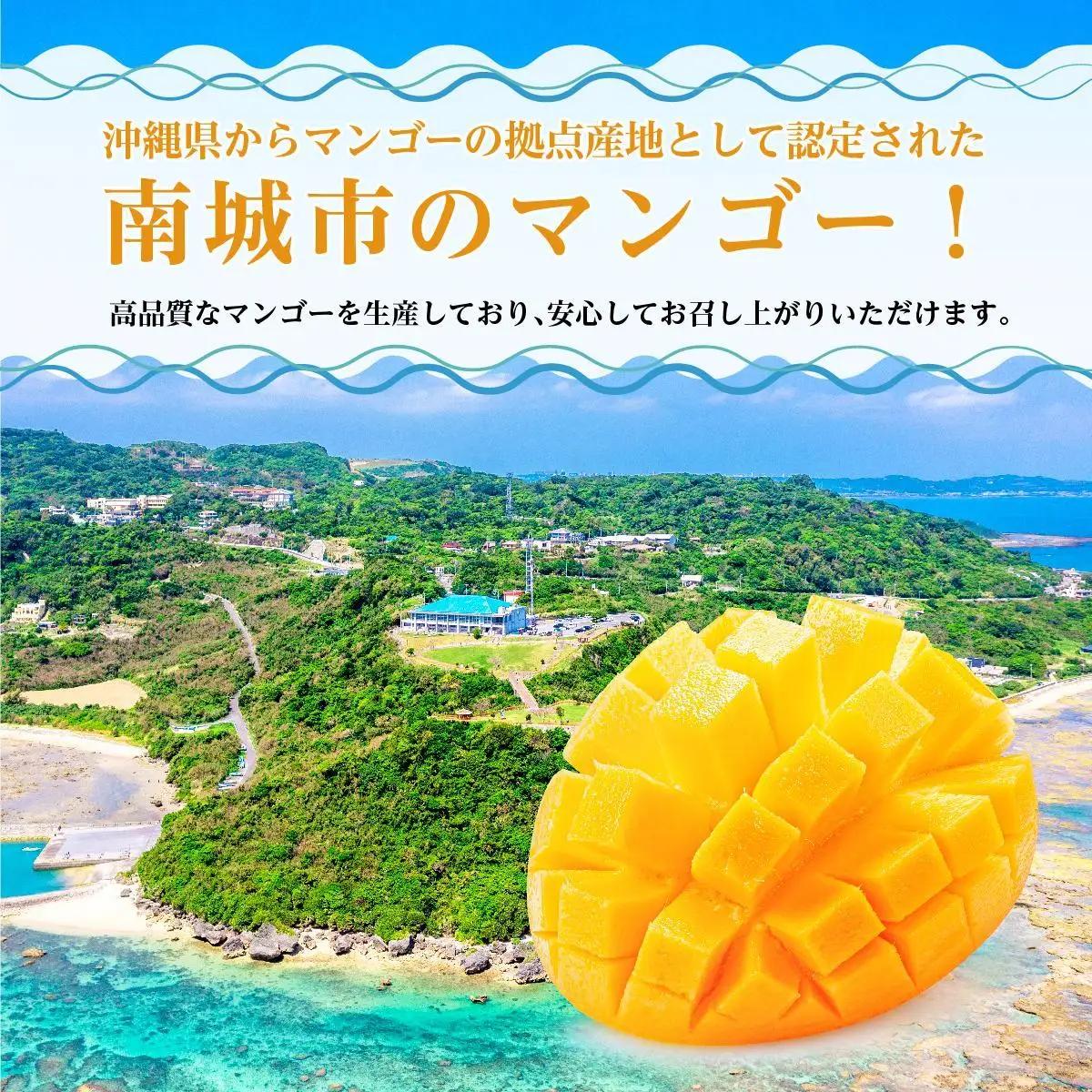 ＜先行予約＞ミニマンゴー1kg 贈答用   I  ミニ マンゴー 1kg 贈答 用 フルーツ 果物 ギフト   沖縄県 南城市 ふるさと納税 石崎ファーム