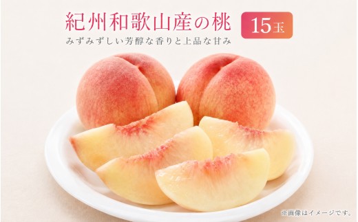 
                  紀州和歌山産の桃　１５玉　化粧箱入 ※2027年6月下旬頃〜8月上旬頃次発送（お届け日指定不可） 【uot780B】
                