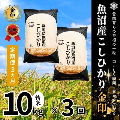 ふるさと納税 十日町市 【毎月定期便】【定期便3回(毎月発送)】魚沼産コシヒカリ(金印)精米 10kg全3回