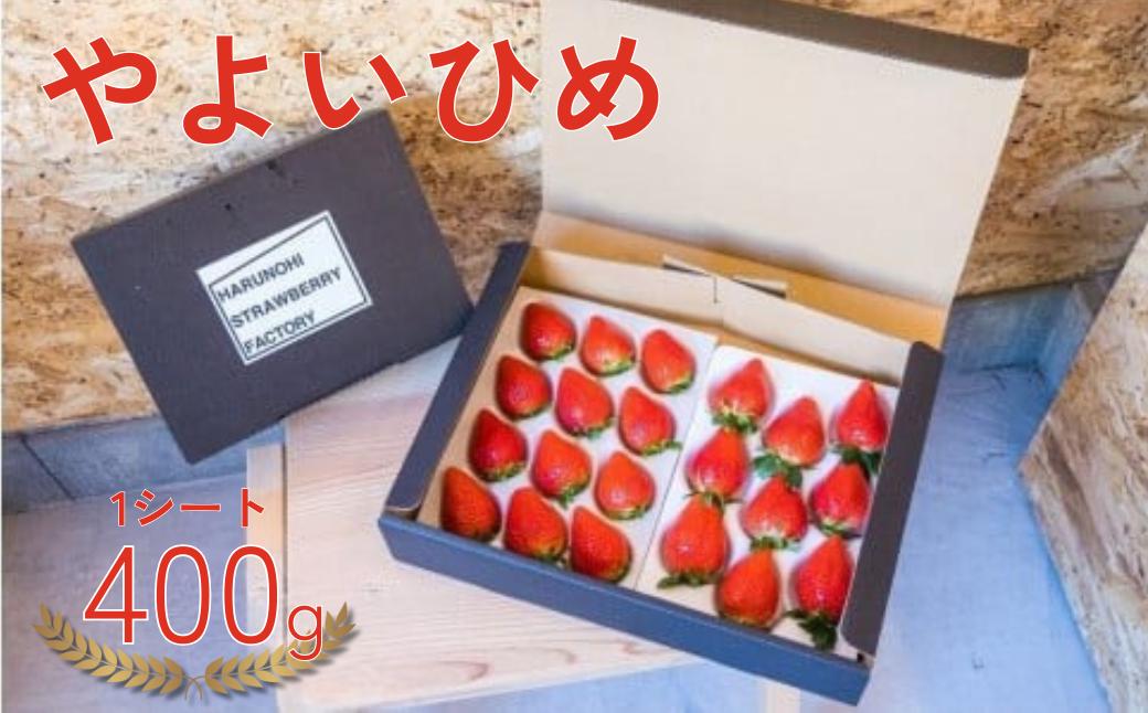 【2026年 先行予約】大粒完熟 群馬県産いちご「やよいひめ」400g×1 ｜コク 甘み 朝採れ やよいひめ 大粒 甘み 酸味 バランス 贈答用 新鮮 完熟 いちご 旬 苺 ストロベリー 産地直送 果汁 甘い あまい 人気 高評価 減農薬 美容 健康 旨味 高糖度 ごほうび 群馬県 前橋市
