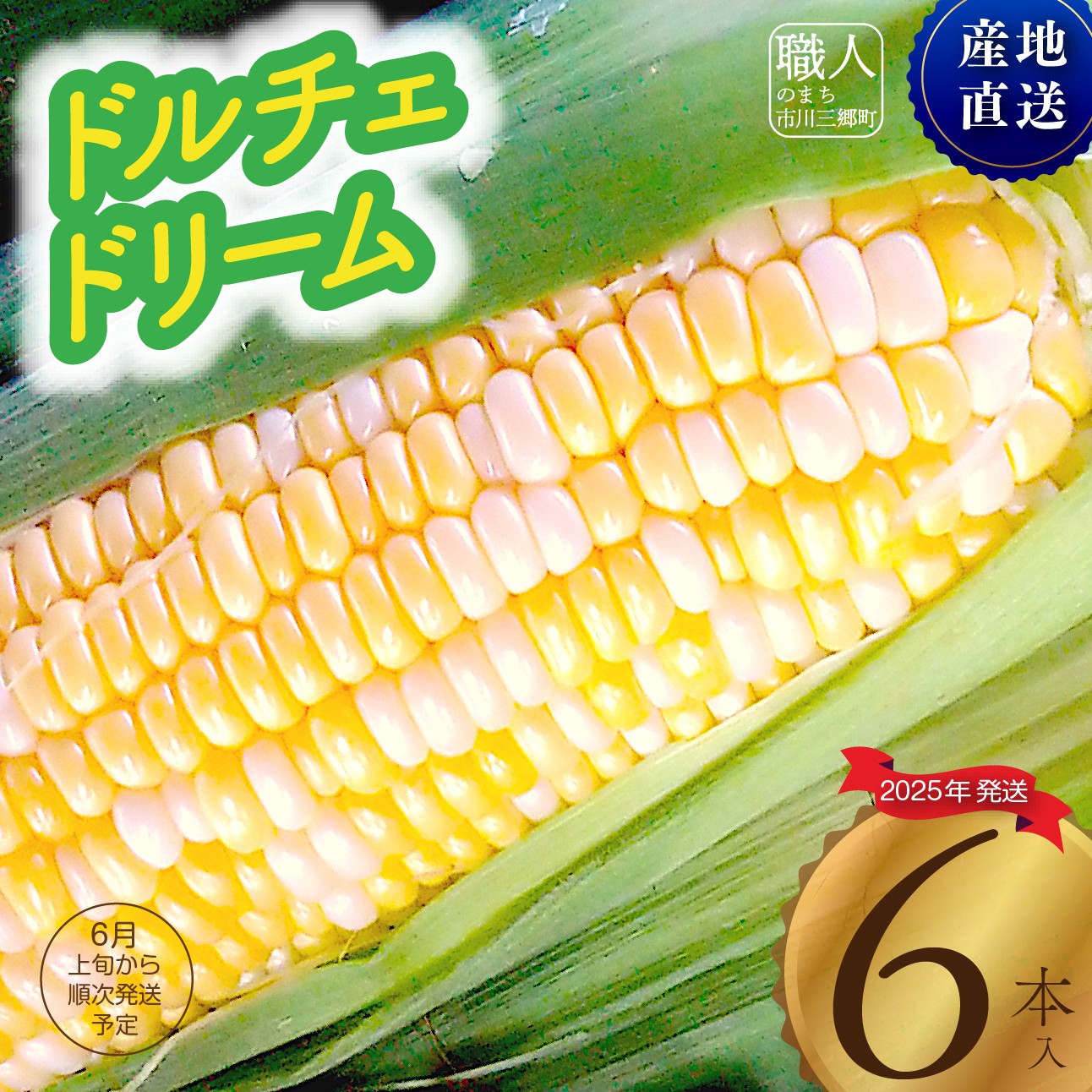 【ふるさと納税】2025年6月上旬発送【朝採り】とうもろこし　ドルチェドリーム　6本入り 杉山農園[5839-2180]