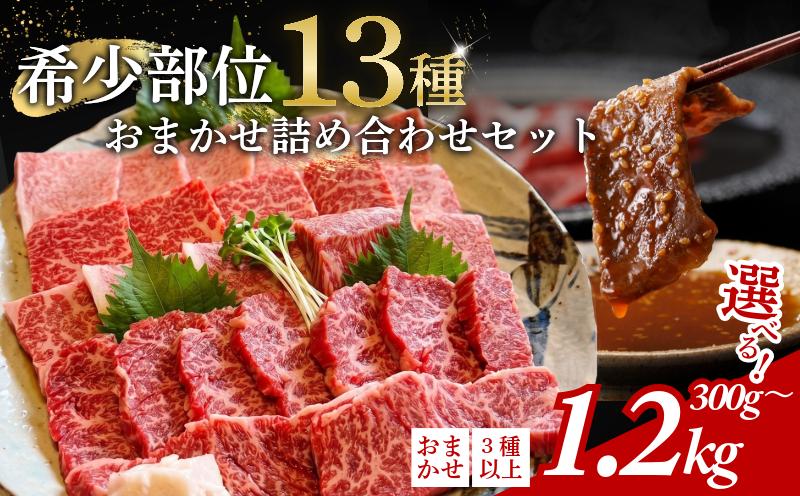 
                  阿波牛 食べ比べ 13種 焼肉 セット 希少部位 入り 300g 600g 1.2kg 赤身 霜降り 国産牛 和牛 贈答用 ミスジ トモサンカク イチボ マルシン ランプ カメノコ クリ トウガラシ マクラ ニノウデ カイノミ カルビ ロース フランケン 徳島県 森井食肉店
                