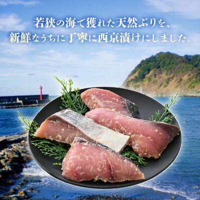 ふるさと納税 美浜町 若狭の天然ぶり西京漬け (2切×5パック) |  | 01