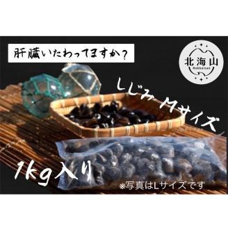 北海道豊頃産 しじみMサイズ１㎏［北海山］"北海道 十勝 豊頃町"