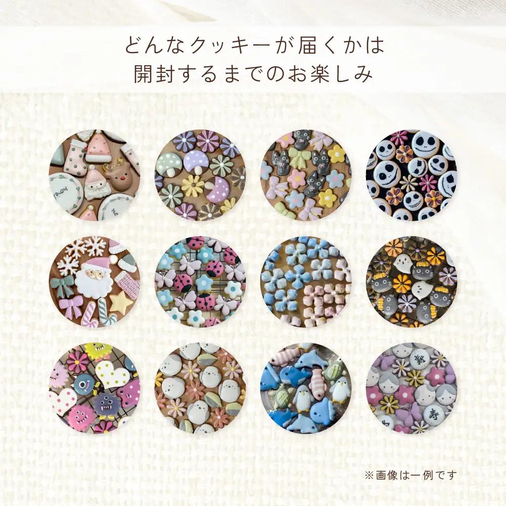 【2026年11月発送】季節のアイシングクッキー(瓶入り) (75～80g×2セット)フレーバー全7種入り【116-9【11】】