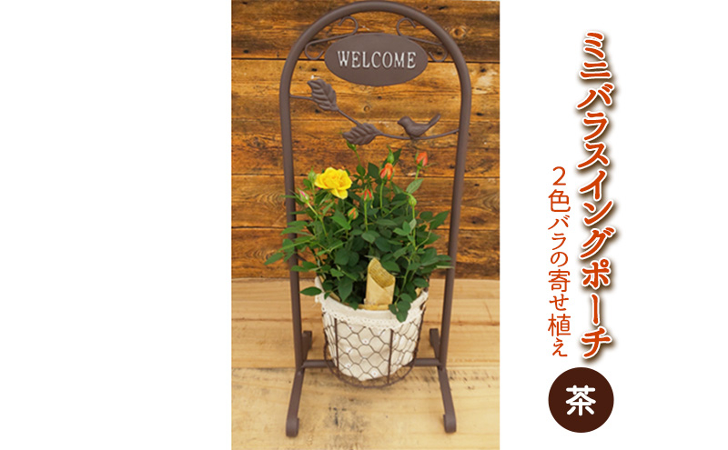 
            ミニバラスイングポーチ（茶色）2～3色のバラの寄せ植え 植物 　※2026年4月下旬～5月下旬頃に順次発送予定　※離島への配送不可 [№5787-0540]
          