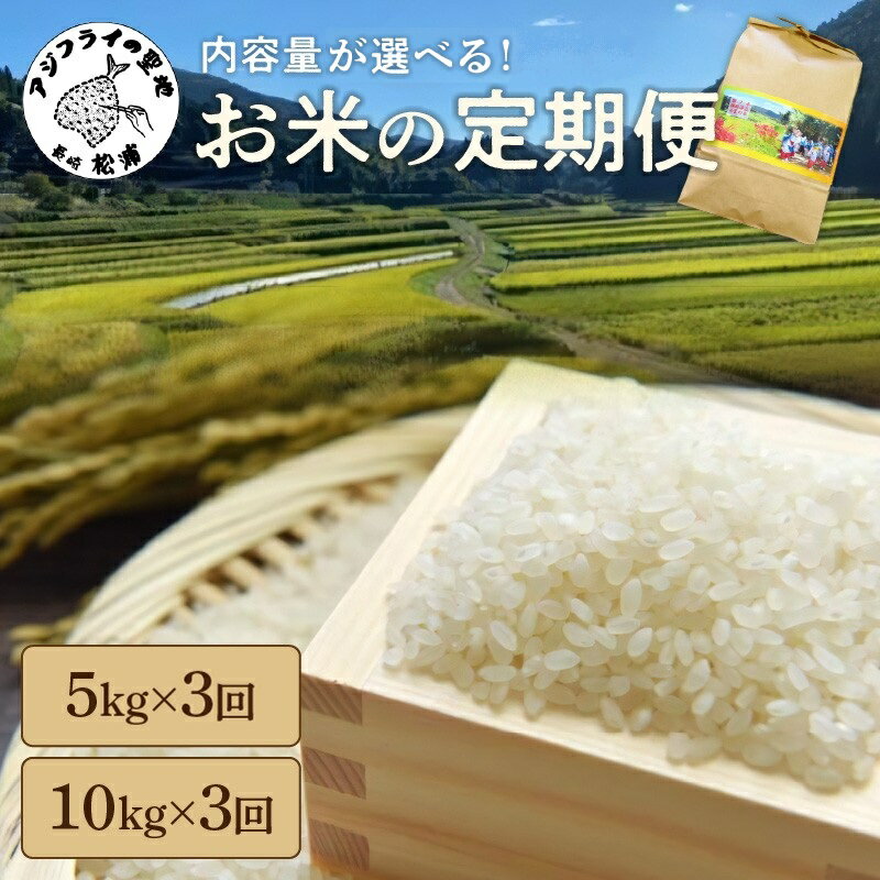 【ふるさと納税】お米の定期便 5kg×3回 10kg×3回【定期便】
