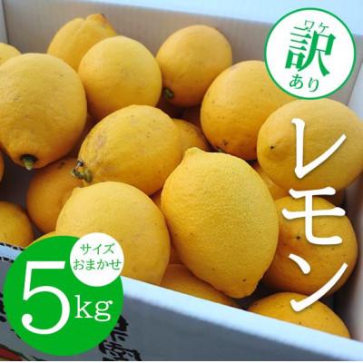 ふるさと納税 日高町 ★先行受付★【ノーワックス】 訳あり 国産 紀州 レモン 約5kg (サイズおまかせ)
