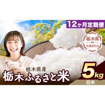 ふるさと納税 野木町 【12ヶ月定期便】栃木ふるさと米 白米 5kg 栃木県 野木町《翌月から出荷》【栃木県共通返礼品】