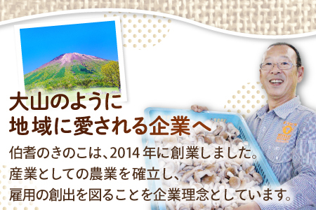 HO03：鳥取県産オーガニックきのこバラエティセット