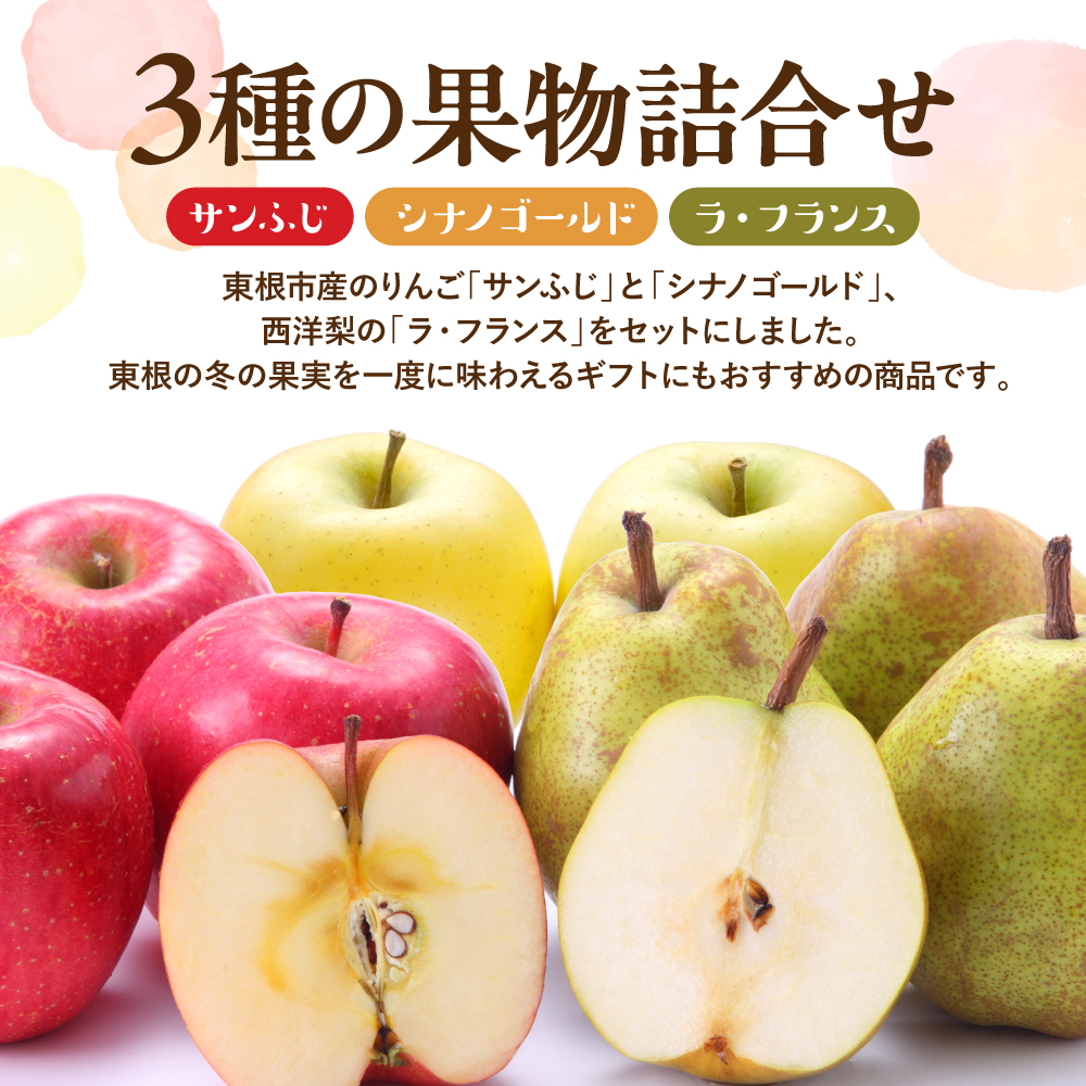 【2026年産】サンふじ&シナノゴールド＆ラフランス 詰め合わせ 3kg 秀品 化粧箱入り 山形県 東根市 東根農産センター提供 hi027-212-r8_イメージ2