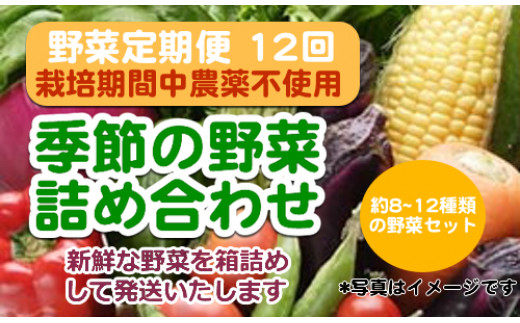 
栽培期間中農薬・化学肥料（窒素成分）不使用の季節の野菜セット（年12回の定期便）
