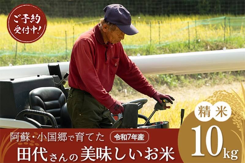 【先行予約】 令和7年産 11月出荷 新米 産直 ノンブレンド米 単一原料 お米 白米 精白米 銘柄おまかせ あきげしき ひのひかり こしひかり 阿蘇 小国町 産地直送 国産 日本産 地場産 贈答 田代さんのお米 10kg