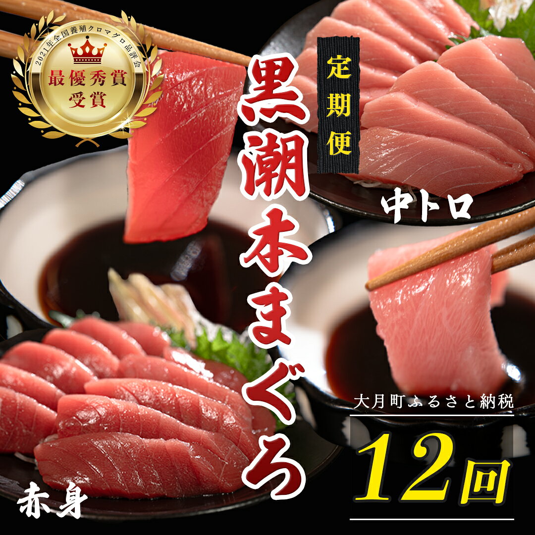 【ふるさと納税】 訳あり 不定貫 定期便 12回 国産 養殖本マグロ 中トロ・赤身 2種 毎回120g 月替わり×12回 黒潮本まぐろ 最優秀賞受賞 12ヶ月 12か月 一年 柵 刺身用 本マグロ 本鮪 鮪 まぐろ お刺身 さしみ 中トロ トロ 9万円