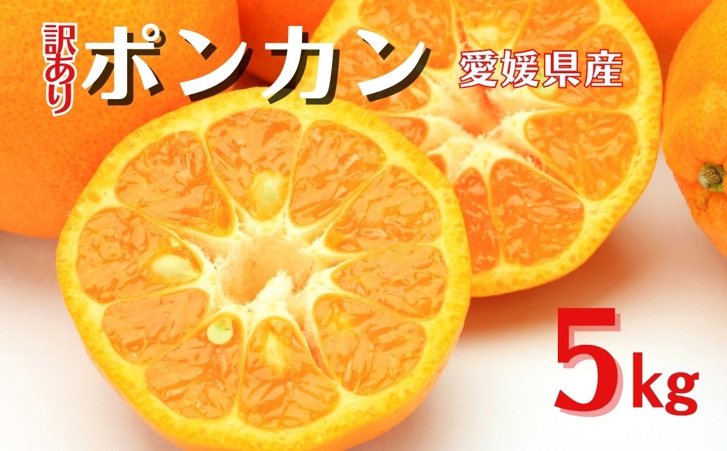 
                  【2027年先行予約】訳あり ポンカン 5kg ご家庭用 みかん 人気 数量限定 先行予約 柑橘 伊予市 【2027年1月中旬以降順次発送】｜B147
                