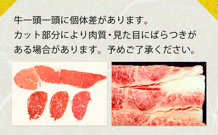 常陸牛切り落とし500g《30日以内に出荷予定(土日祝除く) 》【配送不可地域あり】常陸牛ブランド牛肉茨城県