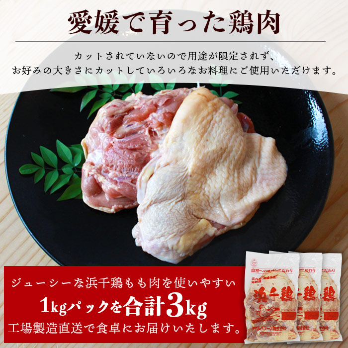 ＜銘柄鶏 浜千鶏 愛媛県産 若鶏もも肉 3kg（1kg×3）＞ 国産 鶏肉 鳥肉 とり チキン モモ肉 はまちどり ブロック 精肉 にく 料理 アレンジ 夕飯 夕食 お弁当 昼食 唐揚げ から揚げ 焼