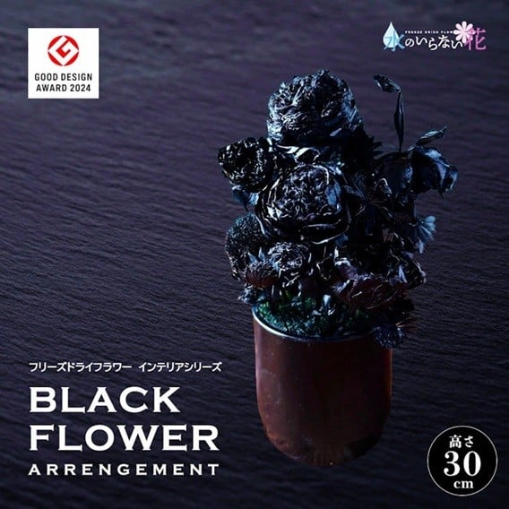 
                  黒い花　ゼロフラワー 「BLACK FLOWER ARRENGEMENT」 SL0271
                