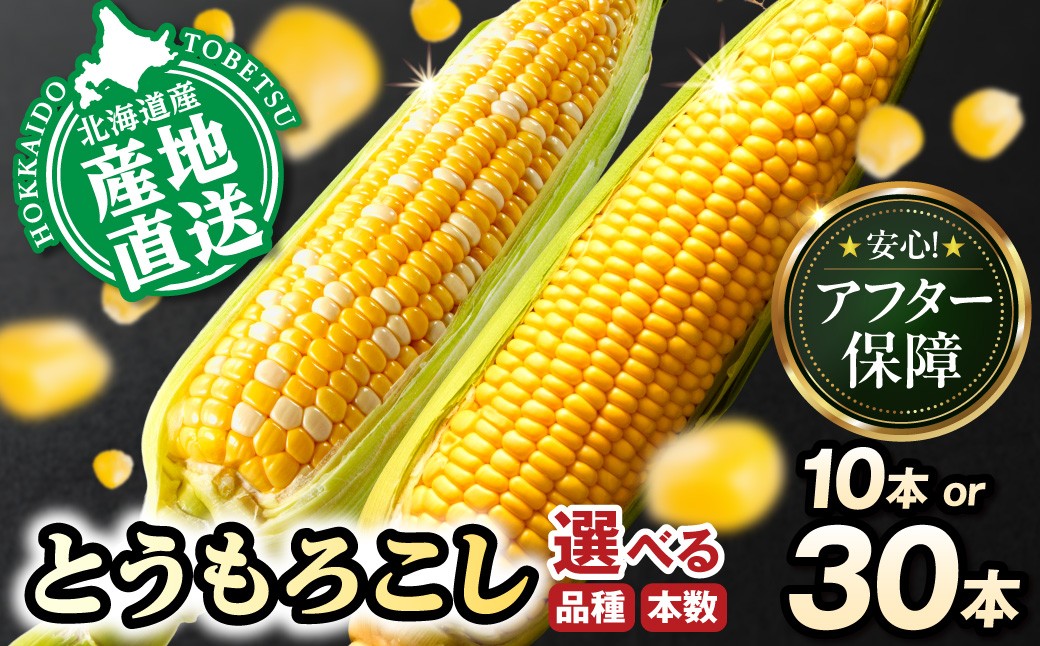 
                  【2026年先行予約】照之家商店 鮮度抜群 とうもろこし 【選べる品種・本数】バイカラーコーン ドルチェドリーム イエローコーン 味来 10本 30本 とうもろこし トウモロコシ 北海道とうもろこし 朝採れとうもろこし 産地直送とうもろこし 北海道産とうもろこし アフター保障
                