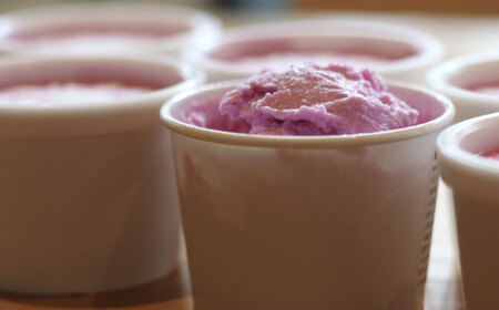 アイス 沼南ミルクジェラート 赤しそ ６個 アイス アイスクリーム デザート スイーツ ご当地 広島県福山市/甚ごろう [BAEC004]