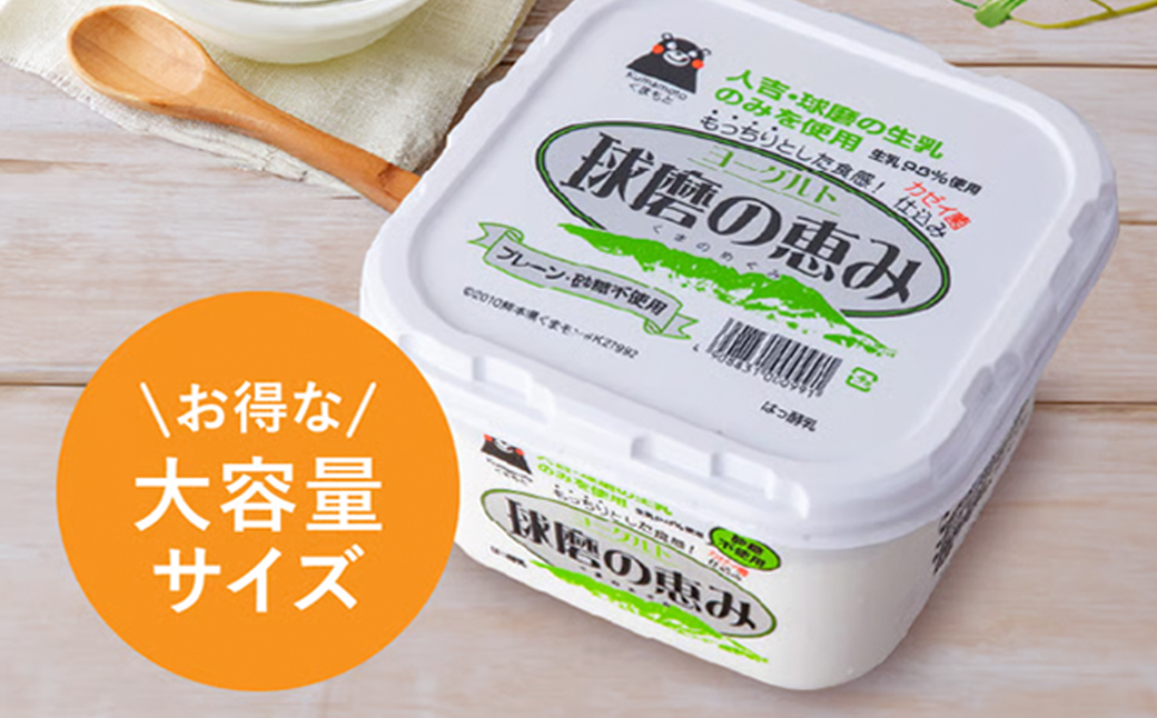 球磨の恵み ヨーグルト(砂糖不使用) 3kg(1kg×3パック) ヨーグルト 無糖