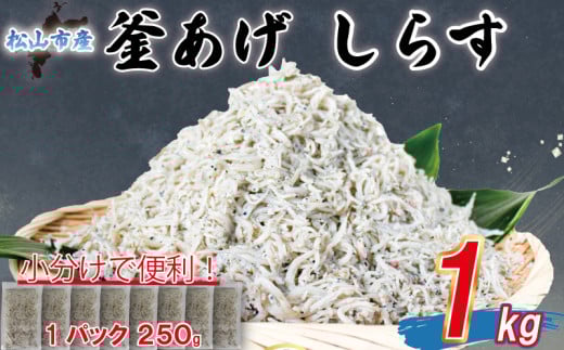 【訳あり】 釜揚げ しらす 1kg |  訳ありしらす 不揃いシラス 国産しらす 冷凍シラス 釜揚げしらす シラス丼 海の幸 松山市産しらす 愛媛県産シラス しらす シラス 釜揚げしらす 惣菜 弁当 簡単調理 ごはんのお供 加工品  海の幸 しらす丼 グルメ 食品 魚介 小魚 魚 鮮魚 海鮮  シラス 卵 たまご 訳あり商品  愛媛県 松山市