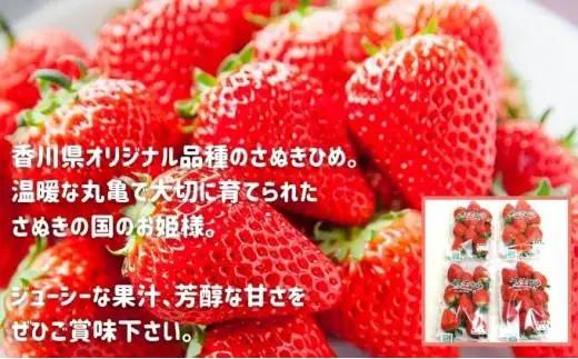 【12月から順次発送 】 いちごのお姫様 さぬきひめ  約250g×2パック 香川県 丸亀市