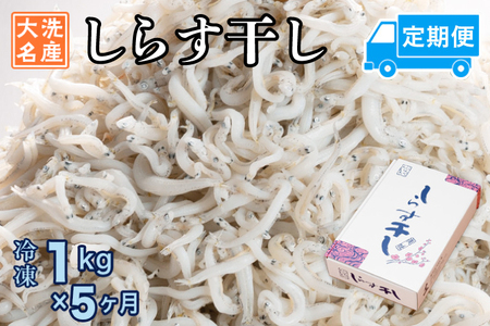 定期便 しらす干し (1kg×5か月) しらす _AG054