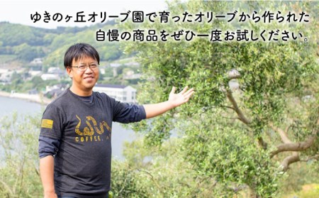 【3回定期便】オリーブ塩＆オリーブレモン塩 セット（各2個）計12個/ オリーブ 塩 ソルト salt lemon olive 調味料 レモン 檸檬 長崎 ＜ゆきのヶ丘オリーブ園＞ [EAV015] 