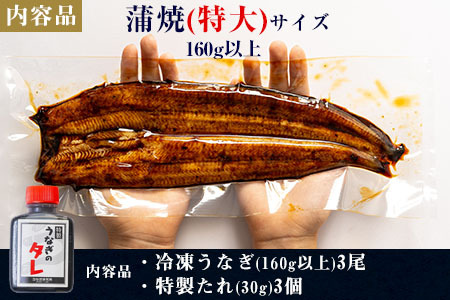 【土用の丑用までにお届け】三河一色産うなぎ蒲焼特大3尾(480g以上)・R008-c1