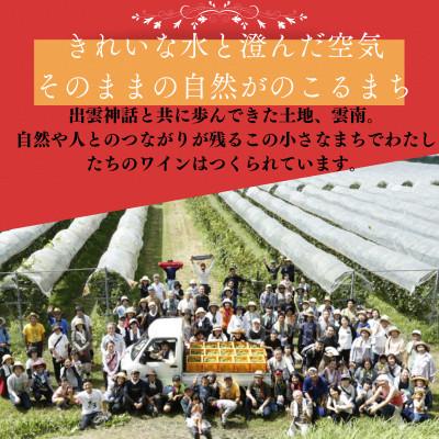ふるさと納税 雲南市 杜のワイン 赤・ジュースセット(辛口赤ワイン1本・ぶどうジュース1本) |  | 01