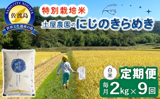 佐渡島産【9か月定期便 にじのきらめき】佐渡島産にじのきらめき 白米 合計18kg（2kg×毎月お届け全9回）令和8年産 新米 特別栽培米 | 新潟県産にじのきらめき 新潟産にじのきらめき 佐渡産にじのきらめき にじきら 虹のきらめき お米 米 白米 精米 ブランド米 おこめ コメ 2キロ 大粒 にいがた さど 新潟県 佐渡市 195962-3611