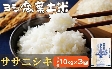 令和6年産＜定期便＞ヨシ腐葉土米 精米30kg（10kg×3回発送）ササニシキ