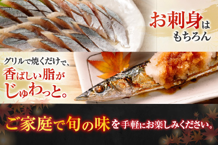 【年内配送可】【北海道根室産】冷凍生さんま5尾×2P G-30001
