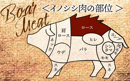 奥能登 穴水産 いのしし ロース カツ用 120g × 5枚 計600g / ジビエ