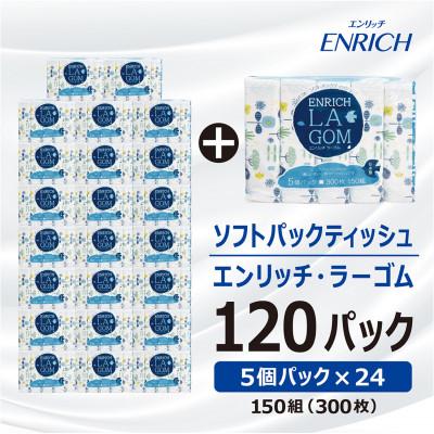 ふるさと納税 高岡市 ソフトパックティッシュ【150Wエンリッチラーゴム5P×24】