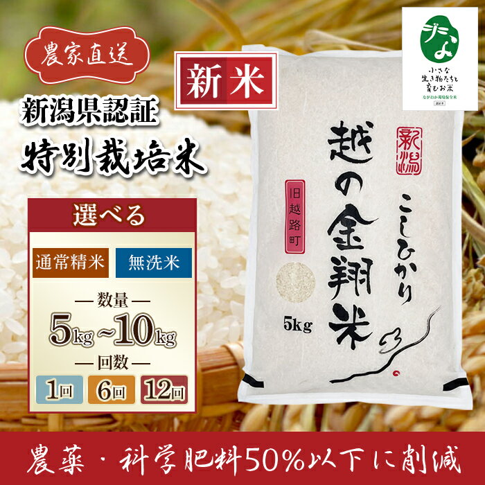 【ふるさと納税】新米 令和7年産 米 無洗米 定期便 5kg 10kg 新潟 コシヒカリ 精米 白米 お米 選べる 1回 6回 12回 6ヶ月 12ヶ月 新潟こしひかり 【越の金翔米】新潟県長岡産コシヒカリ「小さな生き物たちと育むお米」認証品（アグリカンパニーこしじ）