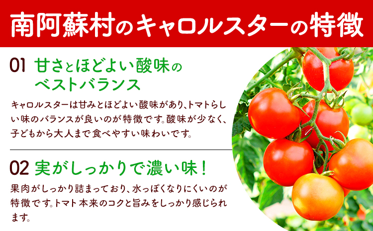 ミニトマト キャロルスター 約2kg ますだふぁーむ《7月上旬-11月末頃出荷》熊本県 南阿蘇村 キャロルスター 野菜 旬 夏野菜 トマト---sms_cmsfmks_af711_26_11000_2