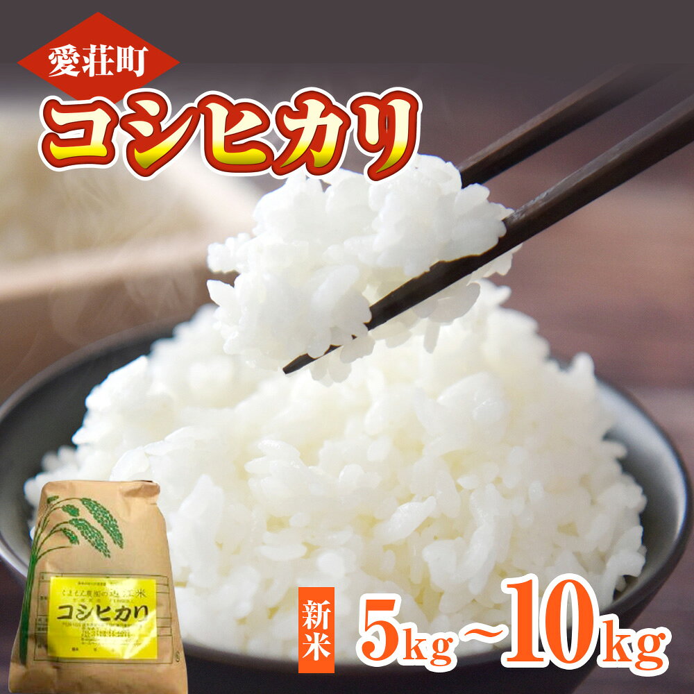 【ふるさと納税】くよもん農園 愛荘町産 コシヒカリ 5kg～10kg 令和7年産　白米 精米　AG02