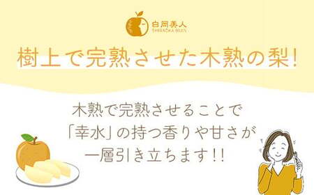 【R9先行予約】幸水 5kg 白岡ちば果樹園の樹上完熟　