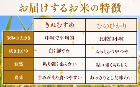 米 3kg ひのき製木工品 3点セット ありがとう園《30日以内に出荷予定(土日祝除く)》