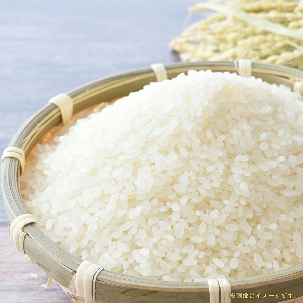 【ふるさと納税】【選べる 容量】令和7年産 くまさんの輝き 米 訳あり 4kg（2kg×2）/ 6kg（2kg×3）/ 10kg（2kg×5） 精米 白米 お米 九州 国産 常温 熊本県 熊本市 送料無料 【2025年10月上旬～2026年1月下旬発送予定】