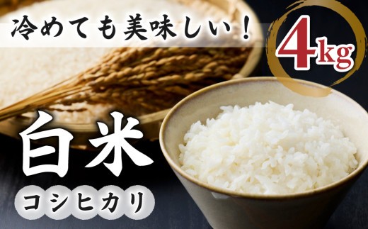 白米4kg【冷めても美味しいコシヒカリ】｜最短4〜7日程度でお届け　※着日指定不可【小田農園】
