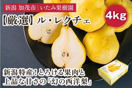 【2026年先行予約】新潟特産 幻の洋梨ル・レクチェ 厳選プレミアム 約4kg（8～12玉）《11月下旬～順次出荷》 令和5年新潟県ル・レクチェ果実品評会「県知事賞」 いたみ果樹園