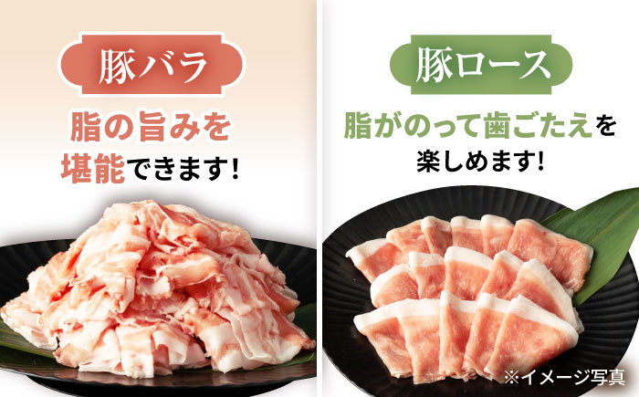 【嬉しい食べ比べ】 長崎県産豚 しゃぶしゃぶ 用 1kg（ロース・バラ各500g）＜宮本畜産＞ [CFA027]