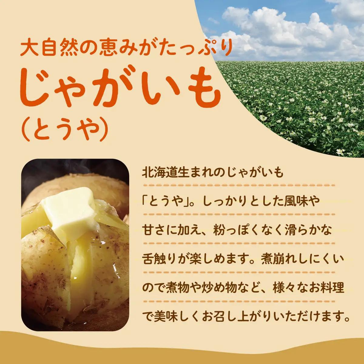 【先行予約】【定期便2回】スイートコーン約5kg(13本) ＋じゃがいも(とうや)約10kg 旬の野菜定期便　SBTN013