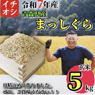 ふるさと納税 十和田市 【令和7年産】青森県産 まっしぐら 玄米 5kg