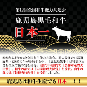 i1060-A ≪4等級以上≫鹿児島県産黒毛和牛ロースステーキ(計約400g・約200g×2枚) 黒毛和牛 和牛 牛肉 肉 ステーキ ロース サーロイン 【ナンチク】